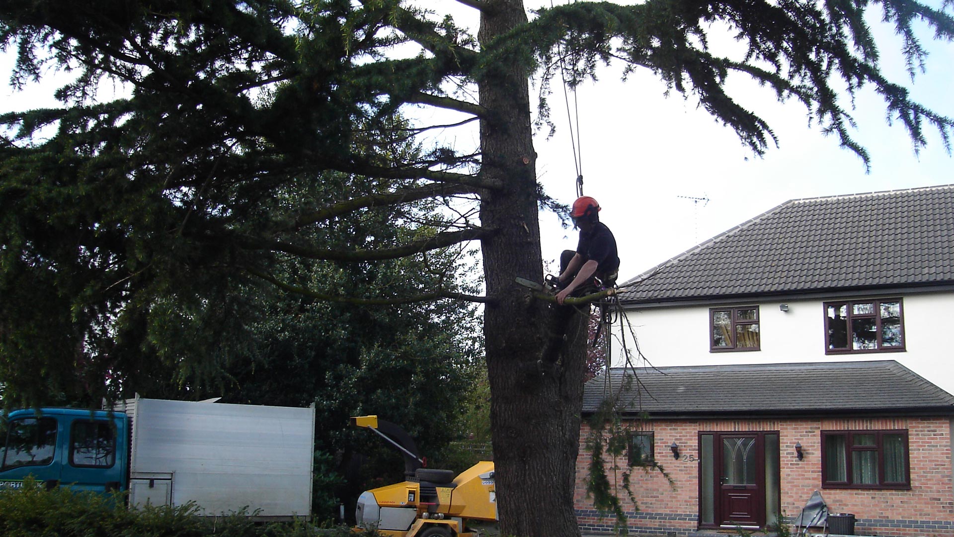 One of our team making their way safely up a tree